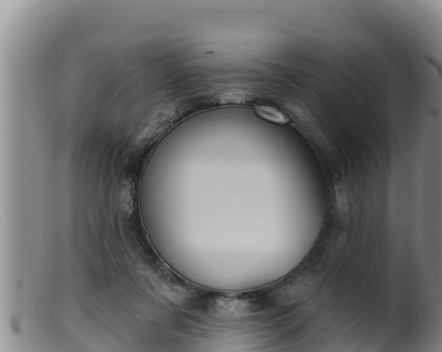 X0000099540311200805231133