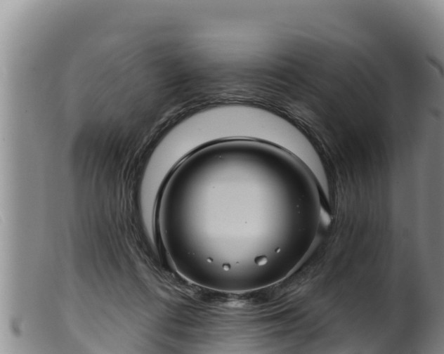 X0000099540312200805231133