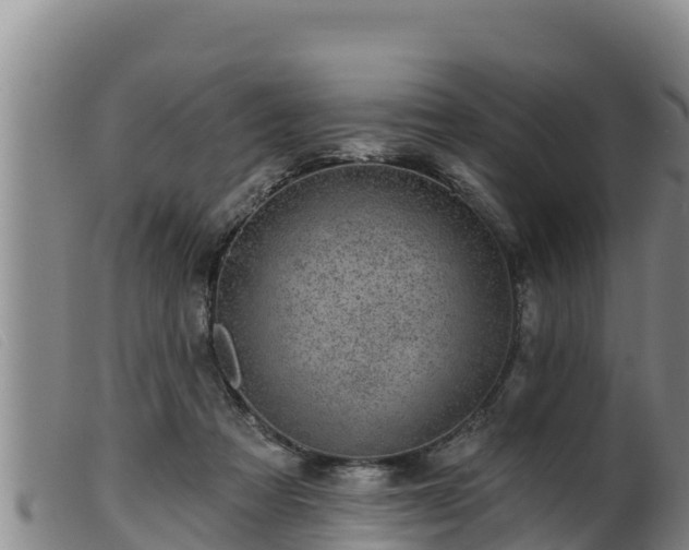 X0000099540313200805231133