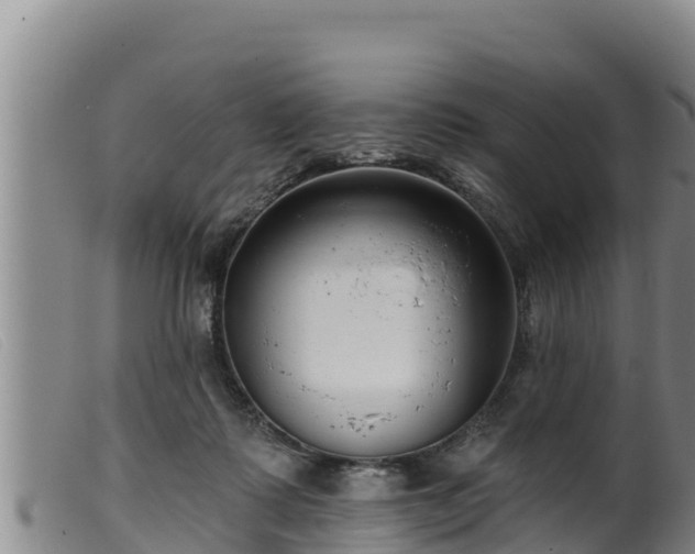 X0000099540315200805231133