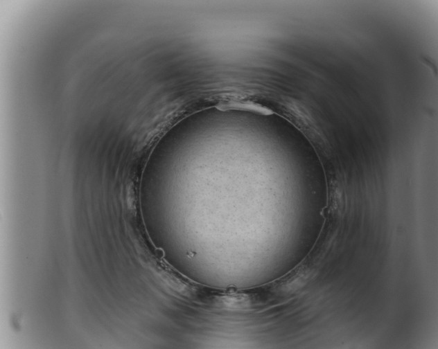 X0000099540317200805231133