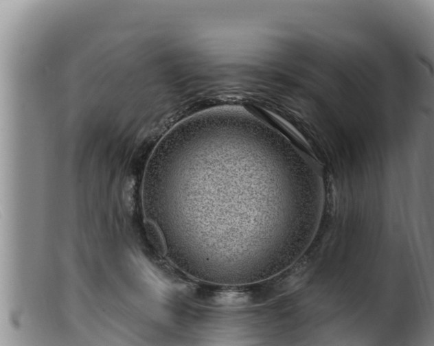 X0000099540319200805231133