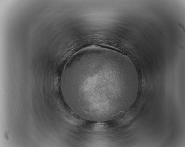 X0000099540320200805231133