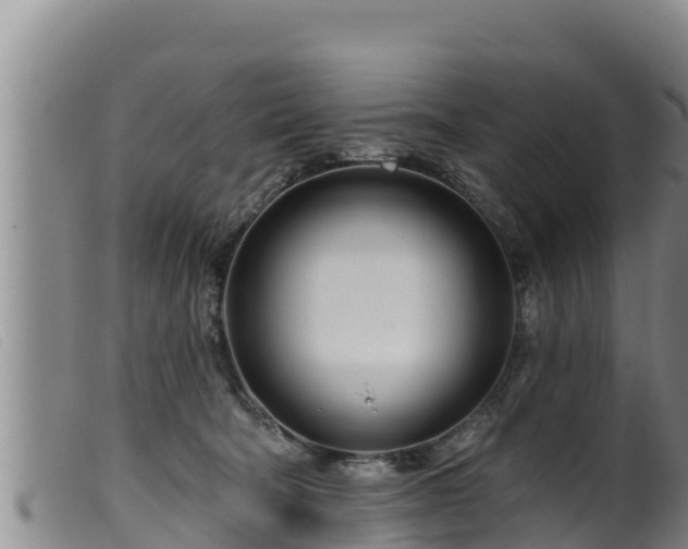 X0000099540322200805231133