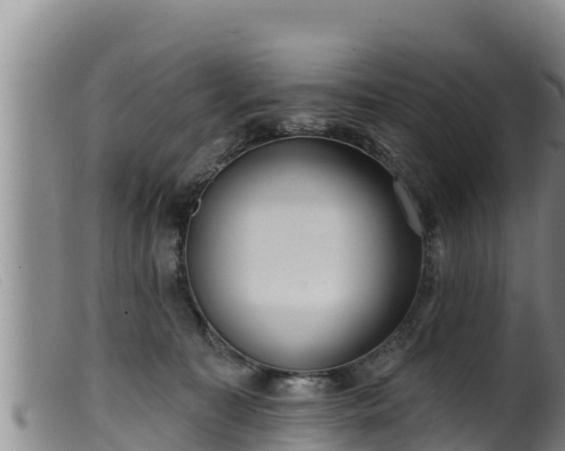 X0000099540323200805231133