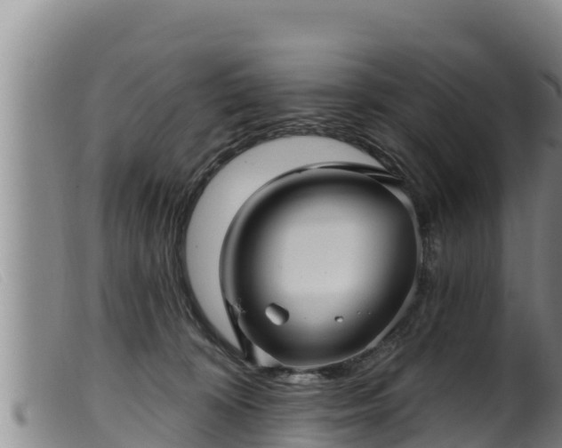 X0000099540324200805231133