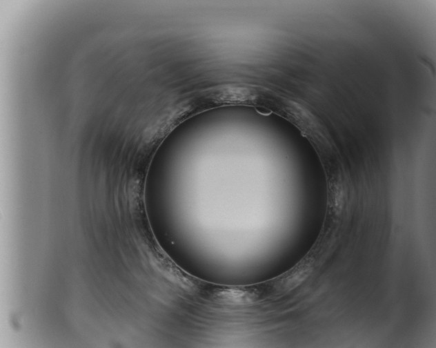 X0000099540326200805231133