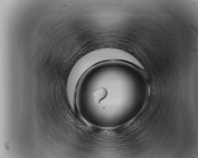 X0000099540328200805231133