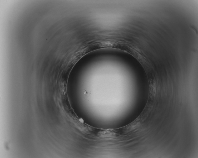 X0000099540331200805231133