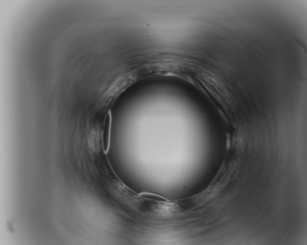 X0000099540333200805231133