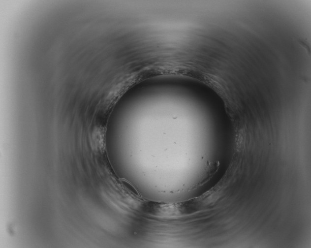 X0000099540335200805231133