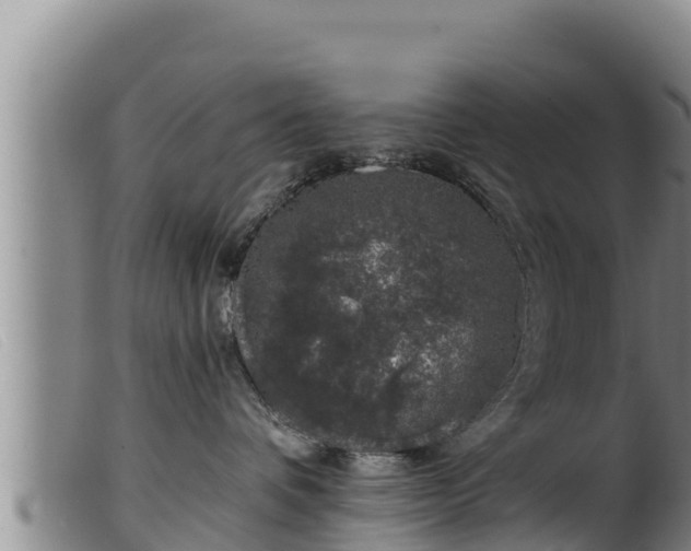 X0000099540336200805231133