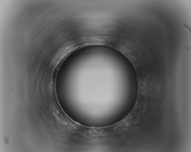 X0000099540338200805231132