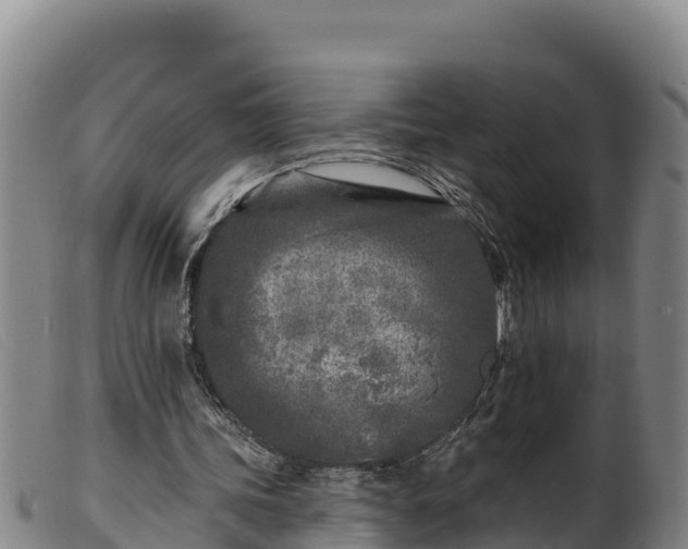 X0000099540339200805231132