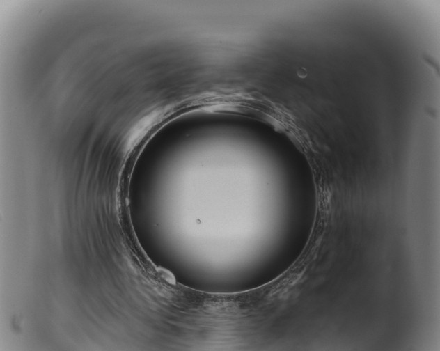 X0000099540340200805231132