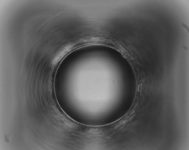 X0000099540341200805231132