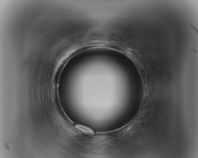 X0000099540342200805231132