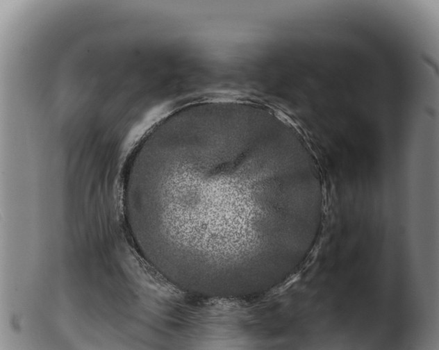 X0000099540343200805231132