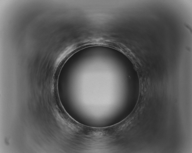 X0000099540344200805231132