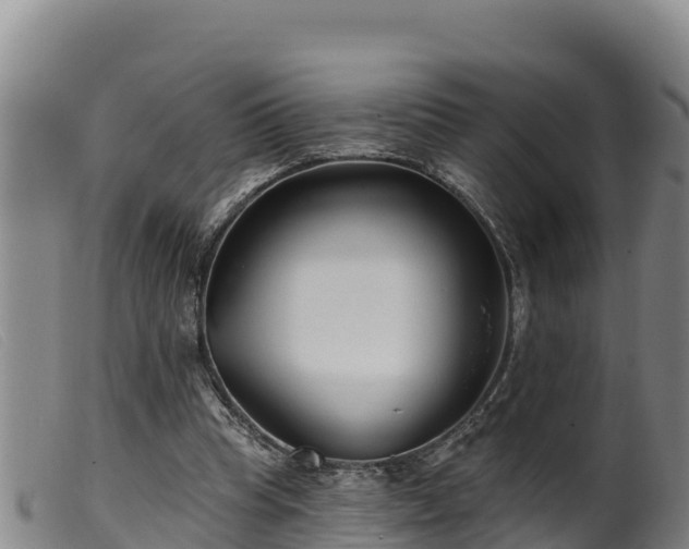 X0000099540345200805231132