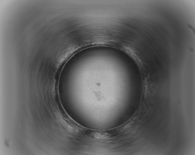 X0000099540346200805231132