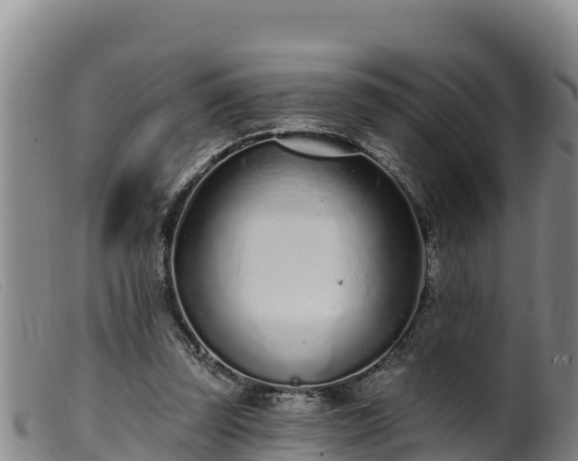 X0000099540347200805231132