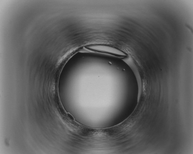 X0000099540348200805231132