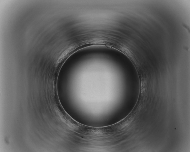 X0000099540349200805231132