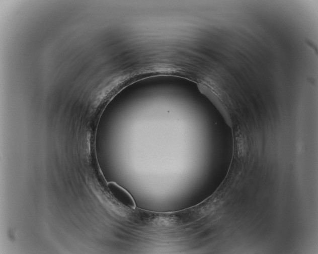 X0000099540350200805231132