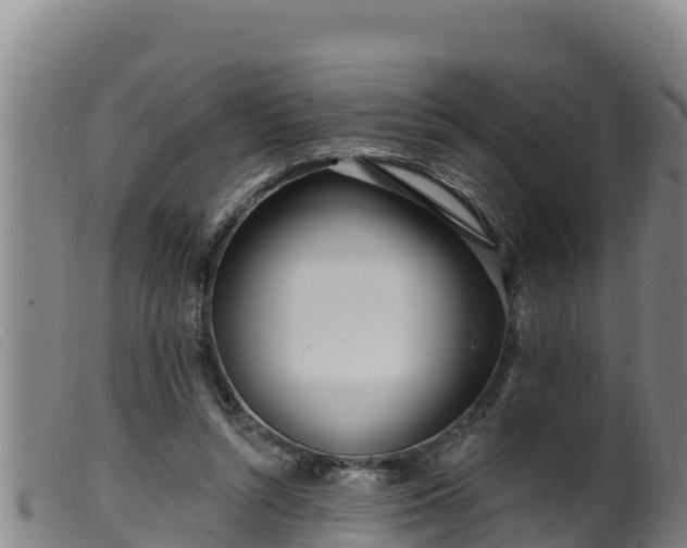 X0000099540352200805231132