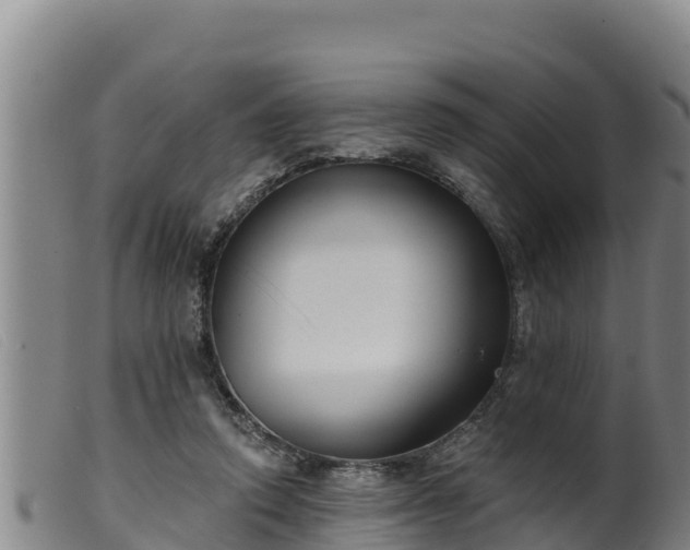 X0000099540354200805231132