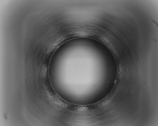 X0000099540355200805231132