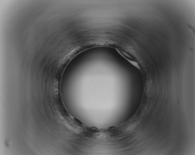 X0000099540356200805231132