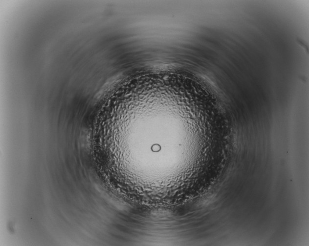 X0000099540357200805231132