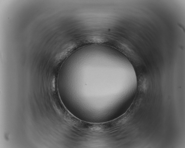 X0000099540358200805231132