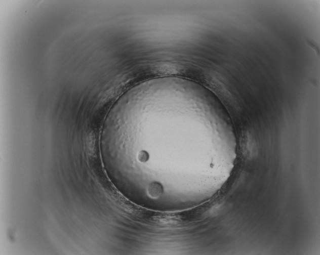 X0000099540359200805231132