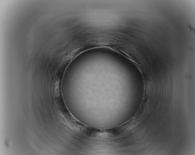 X0000099540360200805231132