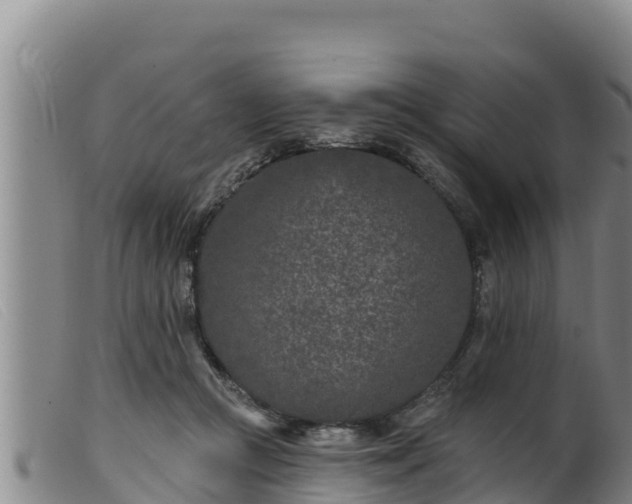 X0000099540361200805231132