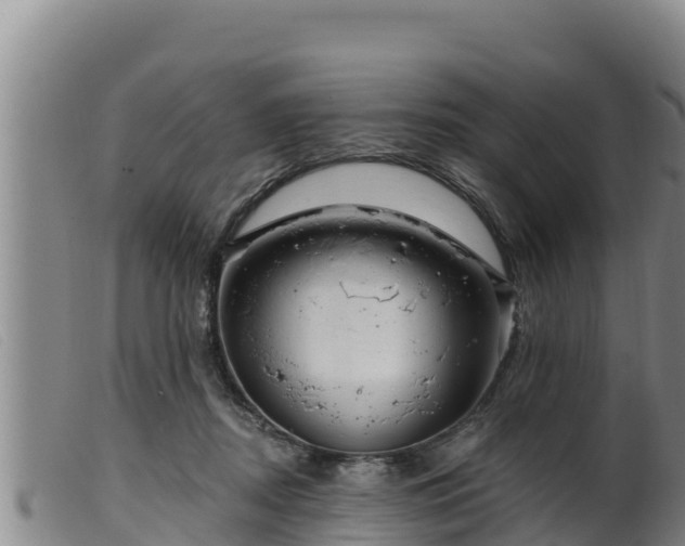 X0000099540362200805231132