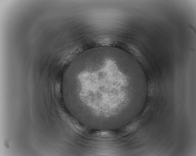 X0000099540365200805231132