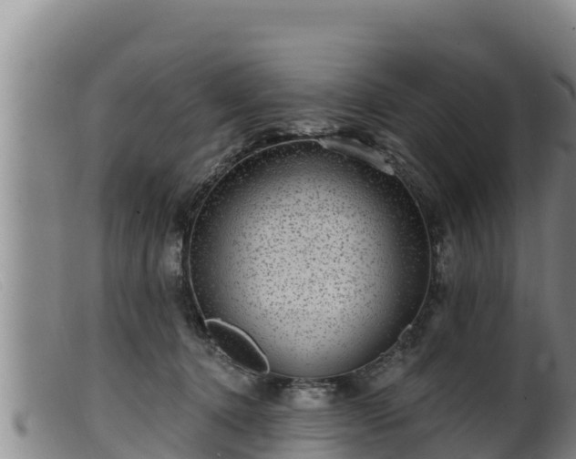 X0000099540368200805231132