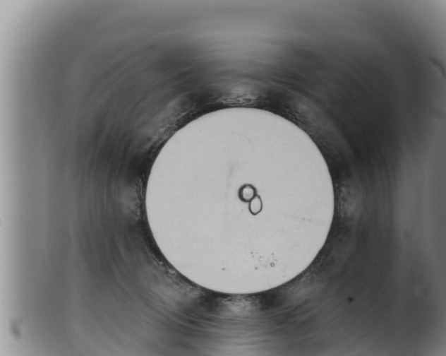 X0000099540370200805231132