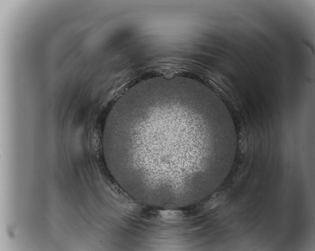 X0000099540371200805231132