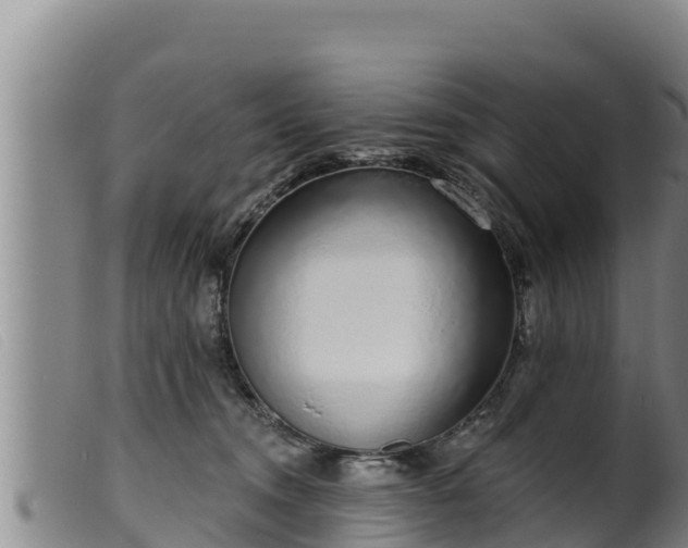 X0000099540372200805231132