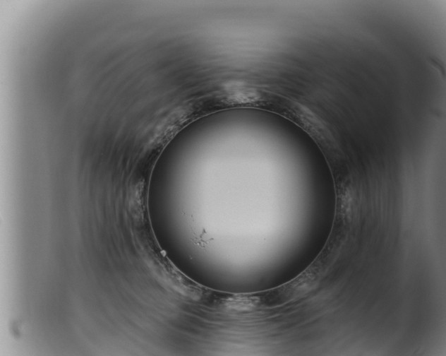 X0000099540373200805231132