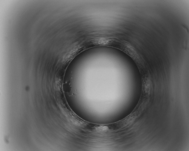 X0000099540374200805231132