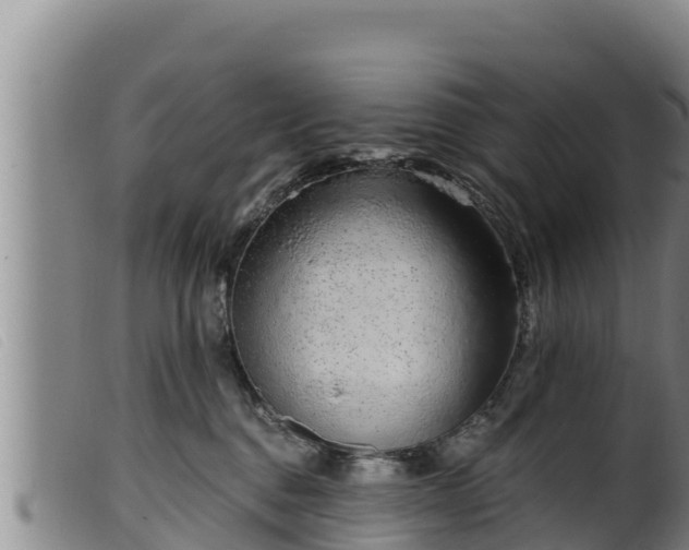 X0000099540376200805231132