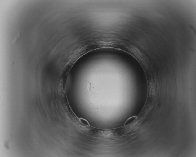 X0000099540377200805231132