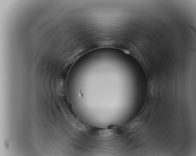 X0000099540378200805231132