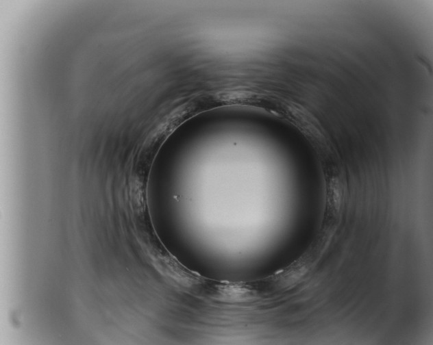 X0000099540380200805231133